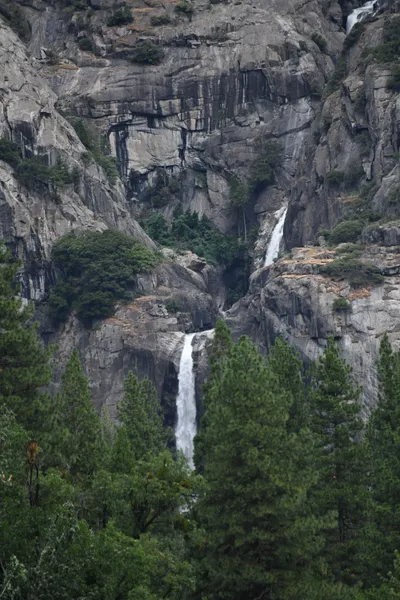 DSC_4665 (Large).JPG